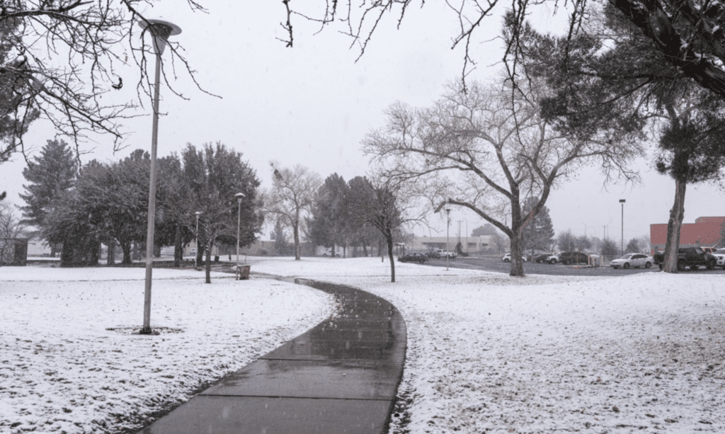 Snow on either side of a sidewalk